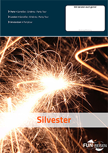 Silvester Flyer